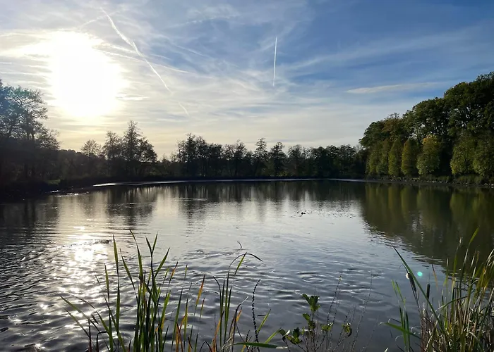 Kreativer Rueckzugsort In Der Burgenstadt *